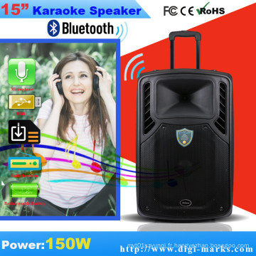 Haut-parleur professionnel de karaoke de batterie de 10 pouces avec Bluetooth, FM fonctionnel
